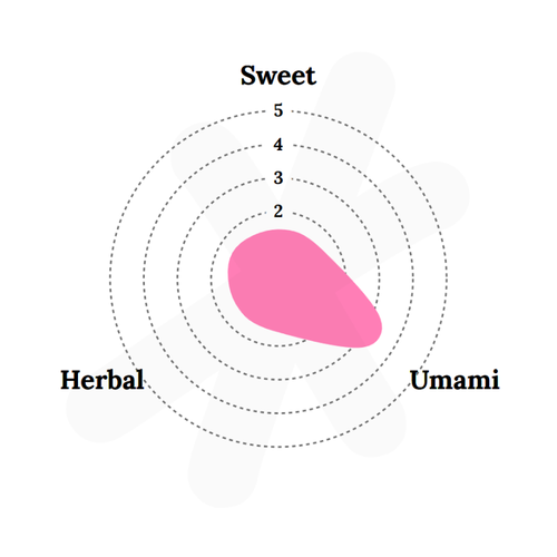 Bulls Blood Beet Microgreens 7 Oz