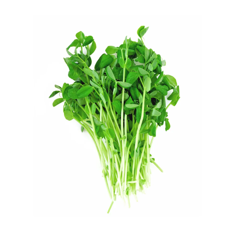 Dun Pea Shoots 14 Oz