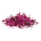 Red Amaranth Microgreens 8 Oz
